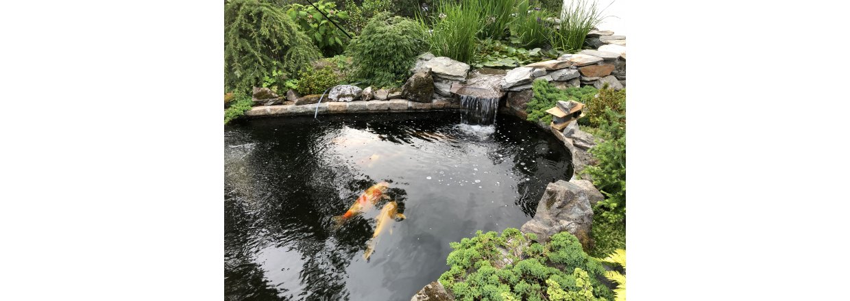 Bygge proff koidam ?