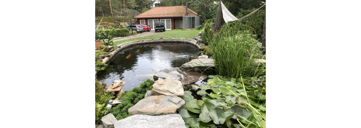 Bygge proff koidam ?