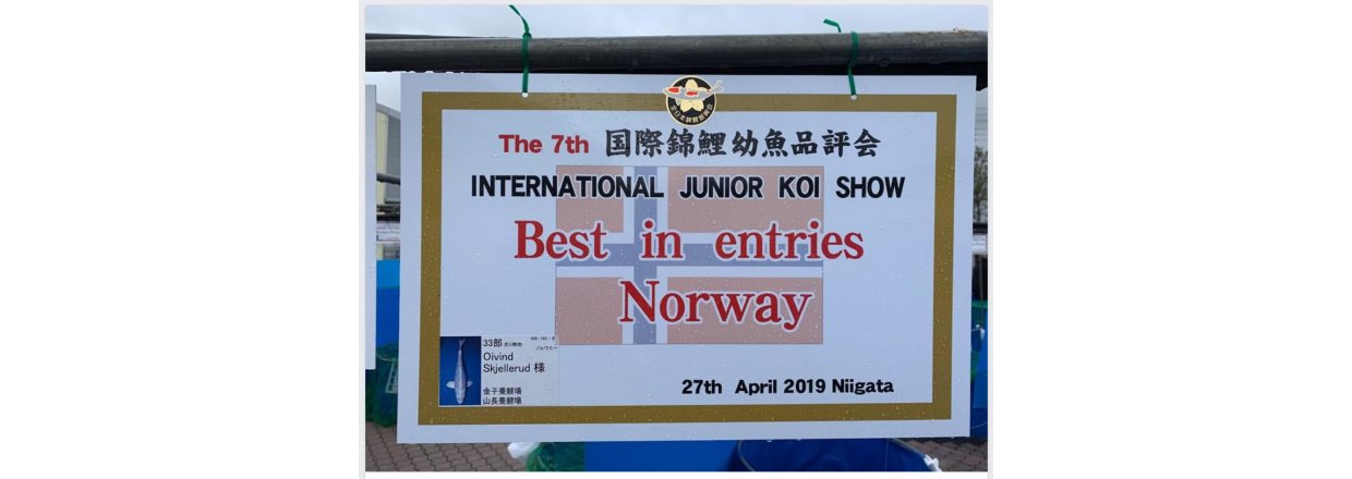 Junior Japan koishow 2019