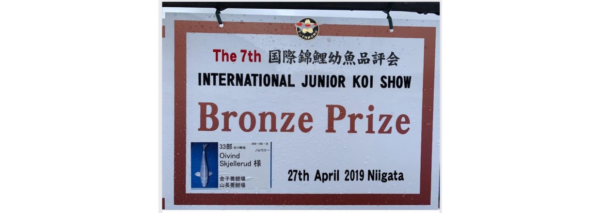 Junior Japan koishow 2019