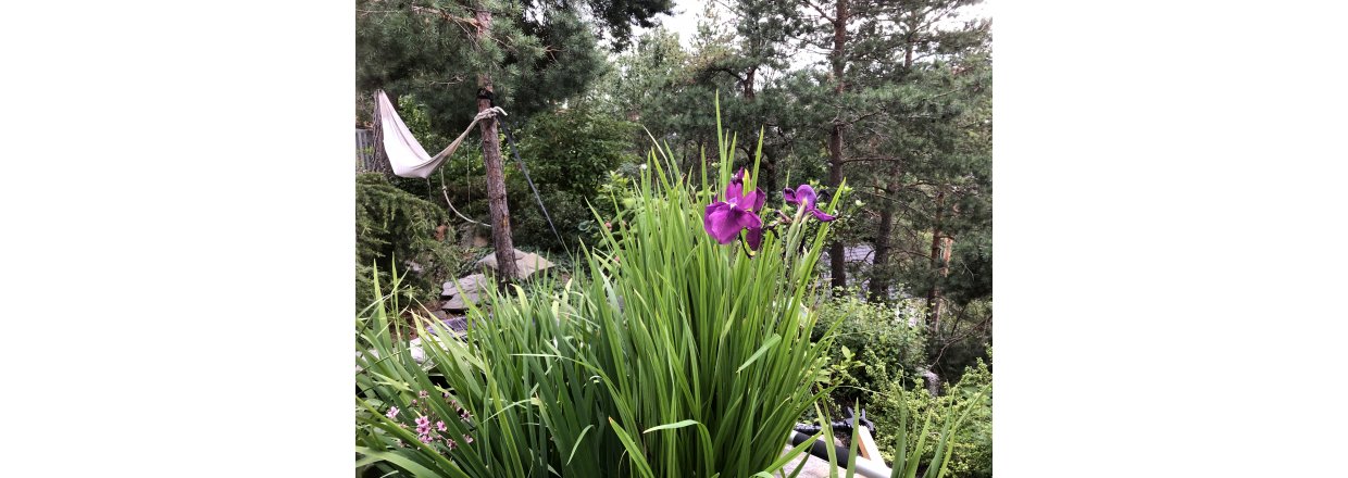 Bygge proff koidam ?