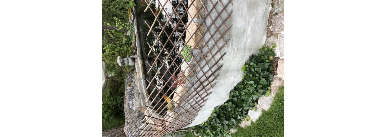 Bygge proff koidam ?