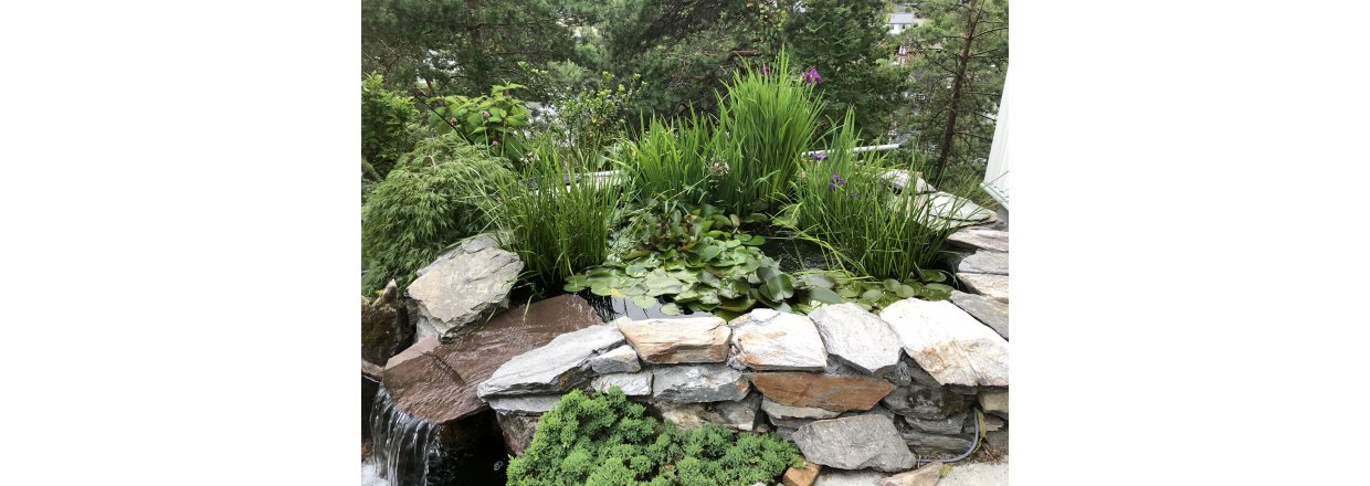 Bygge proff koidam ?