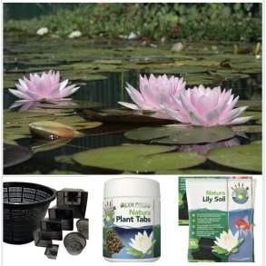 Damplanter og tilbehør