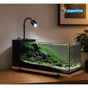 Akvarium og Akvarie pakker