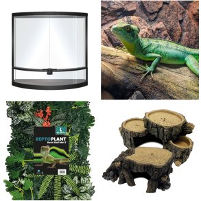 Terrarium og Reptiler 