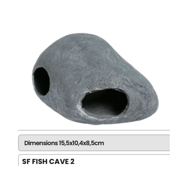 FISH CAVE 2