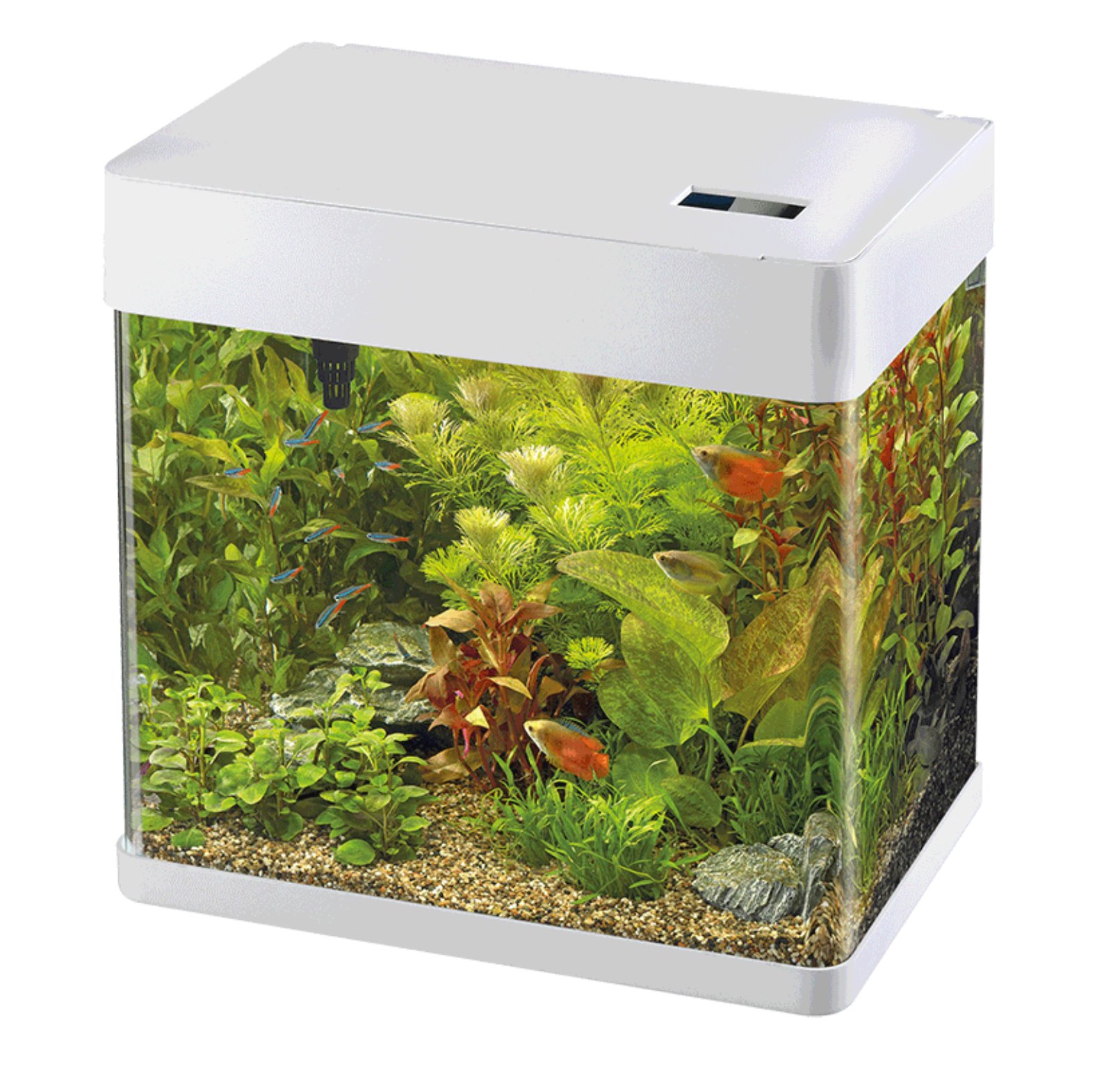 Akvarie sett  / Startpakke  Panorama 35 / Hvit 