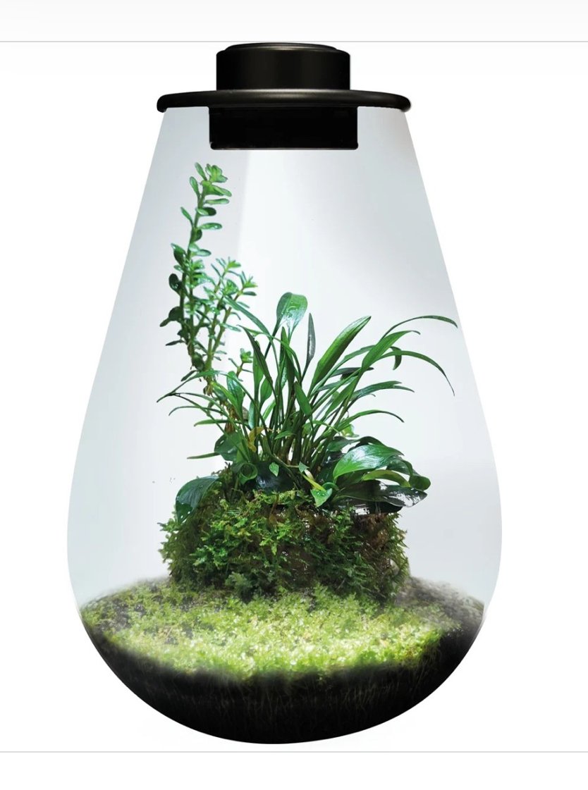 BioArt Dr�pe / Svart 