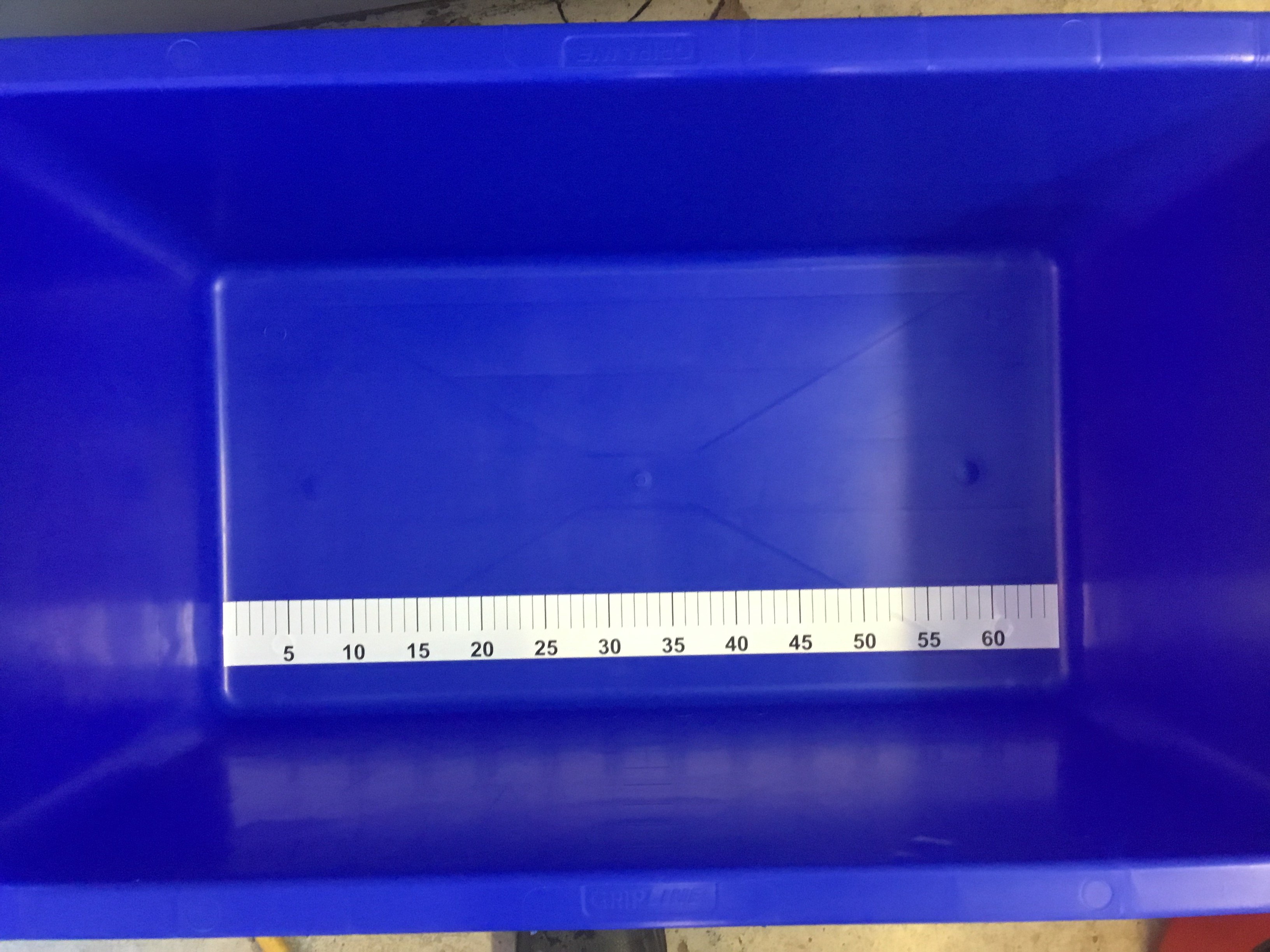 Koi Pro bl mlebalje 80cm 