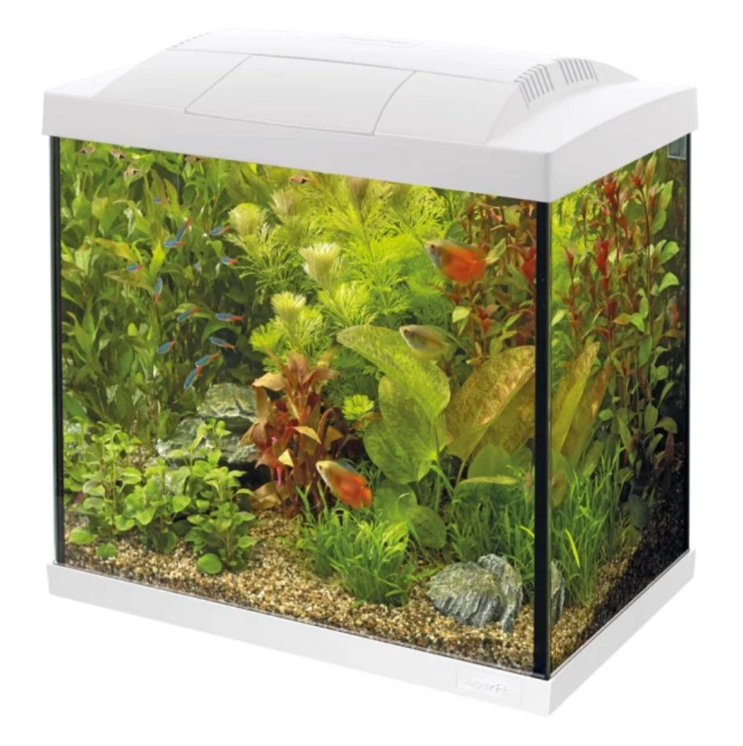 Akvarie pakke  START 50 / hvit 