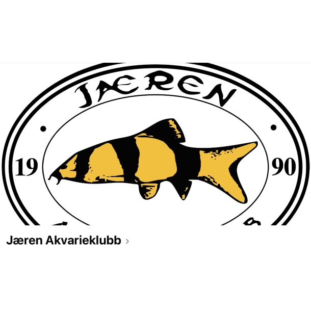 Jren Akvarieklubb / Auksjons dato 15 Februar 2025 