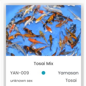 Yamasan mix varianter 6-10cm