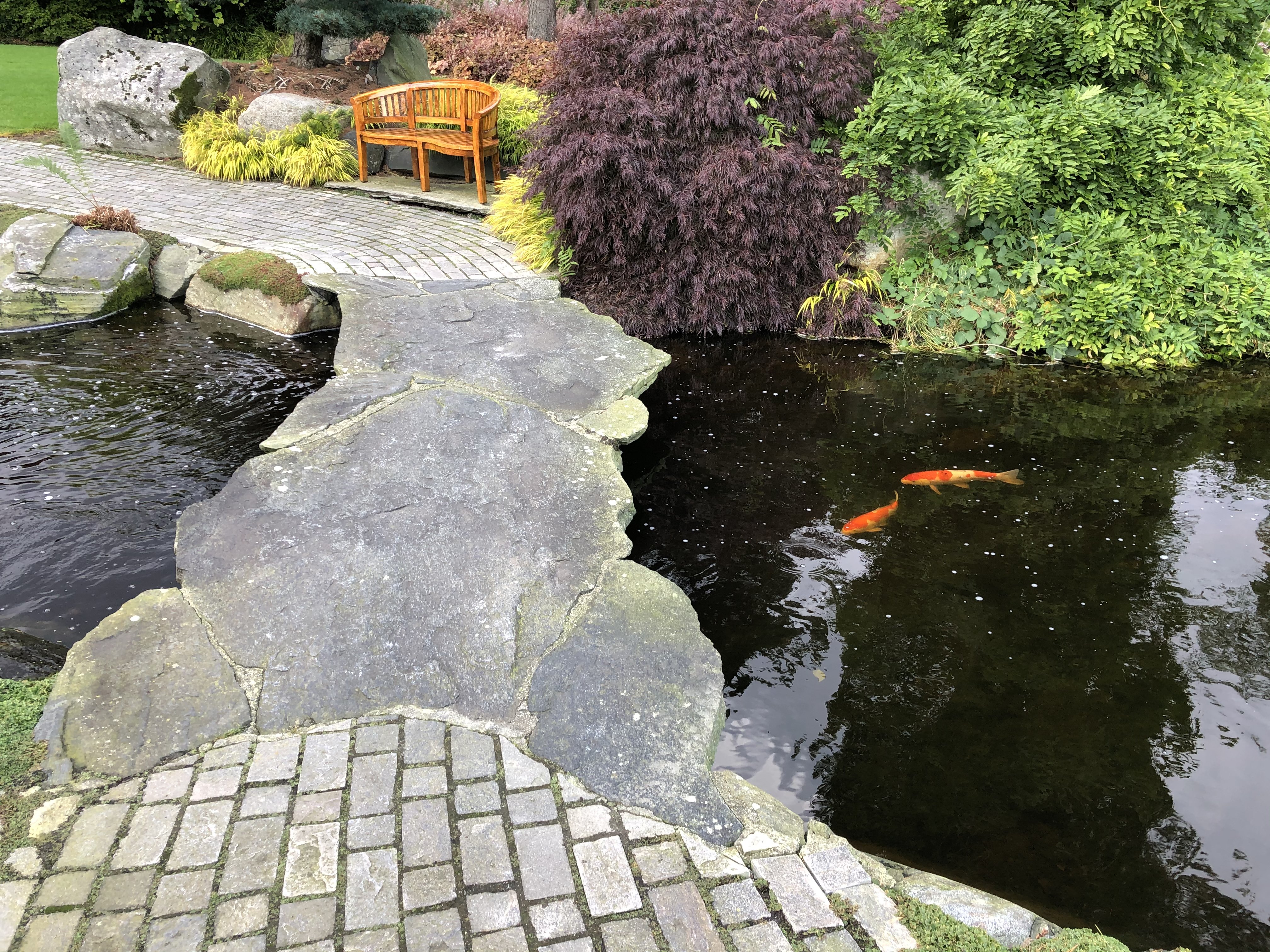 Dampakke 100m2  EPDM / Sieve pumpefrt 