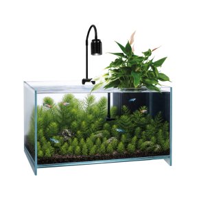 Medaka Aqua One / Akvaponisk akvarium ink pumpe og lys  