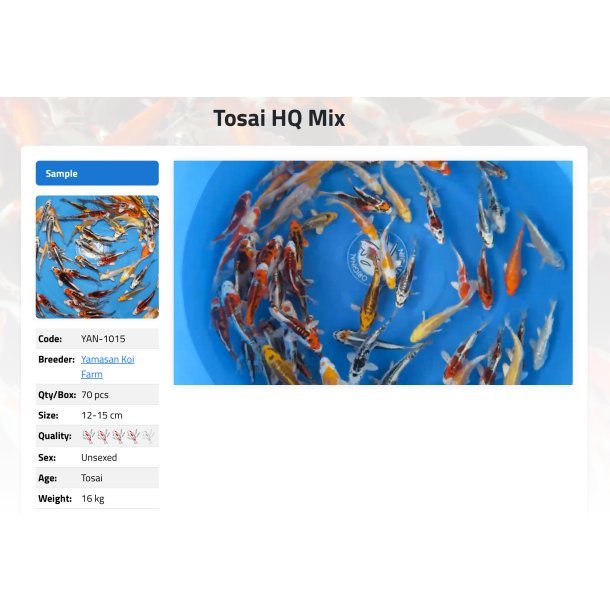 Tosai HQ Mix (12-15 cm) Yamasan Koi Farm