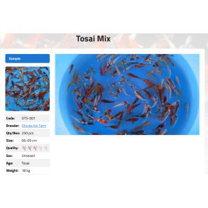 Tosai Mix (06-09 cm) Otsuka Koi Farm