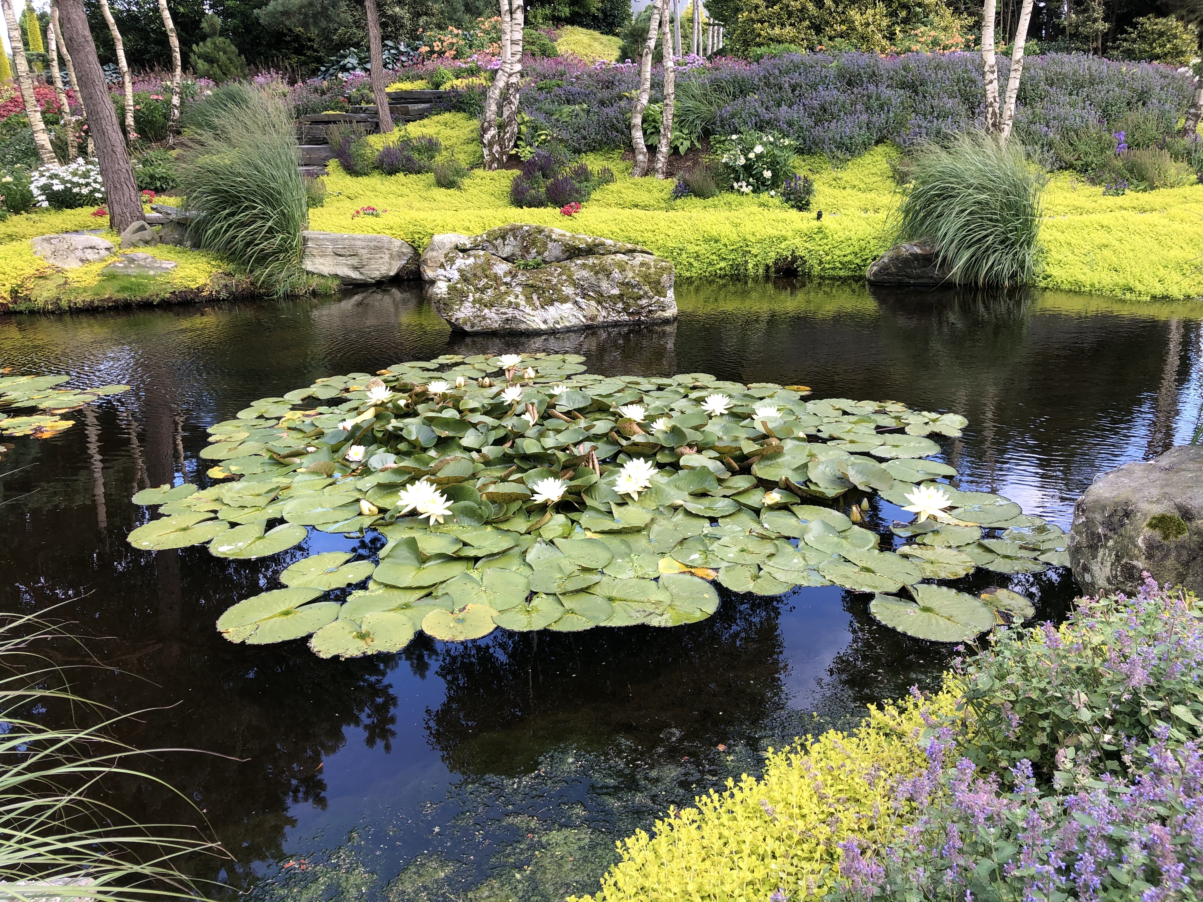 Dampakke proff 100m2  EPDM /  Dam for sump med Trommel 