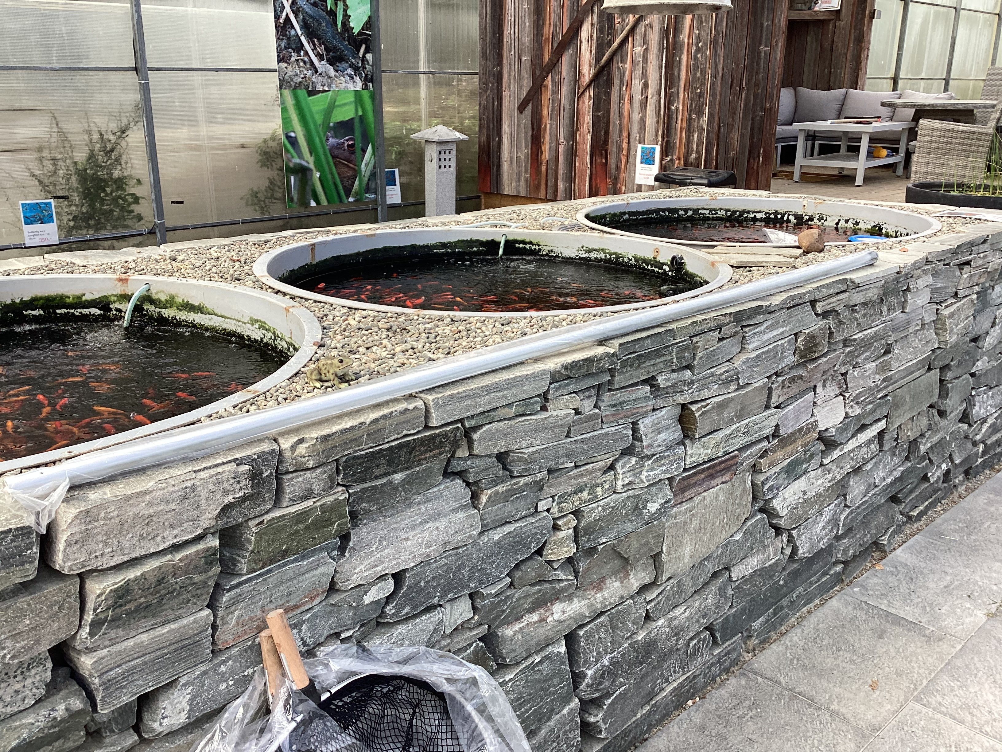  Skaft til Koi hov Proff / 30mm / 250cm fast alu .