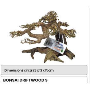 Bonsai tre / ekte / S