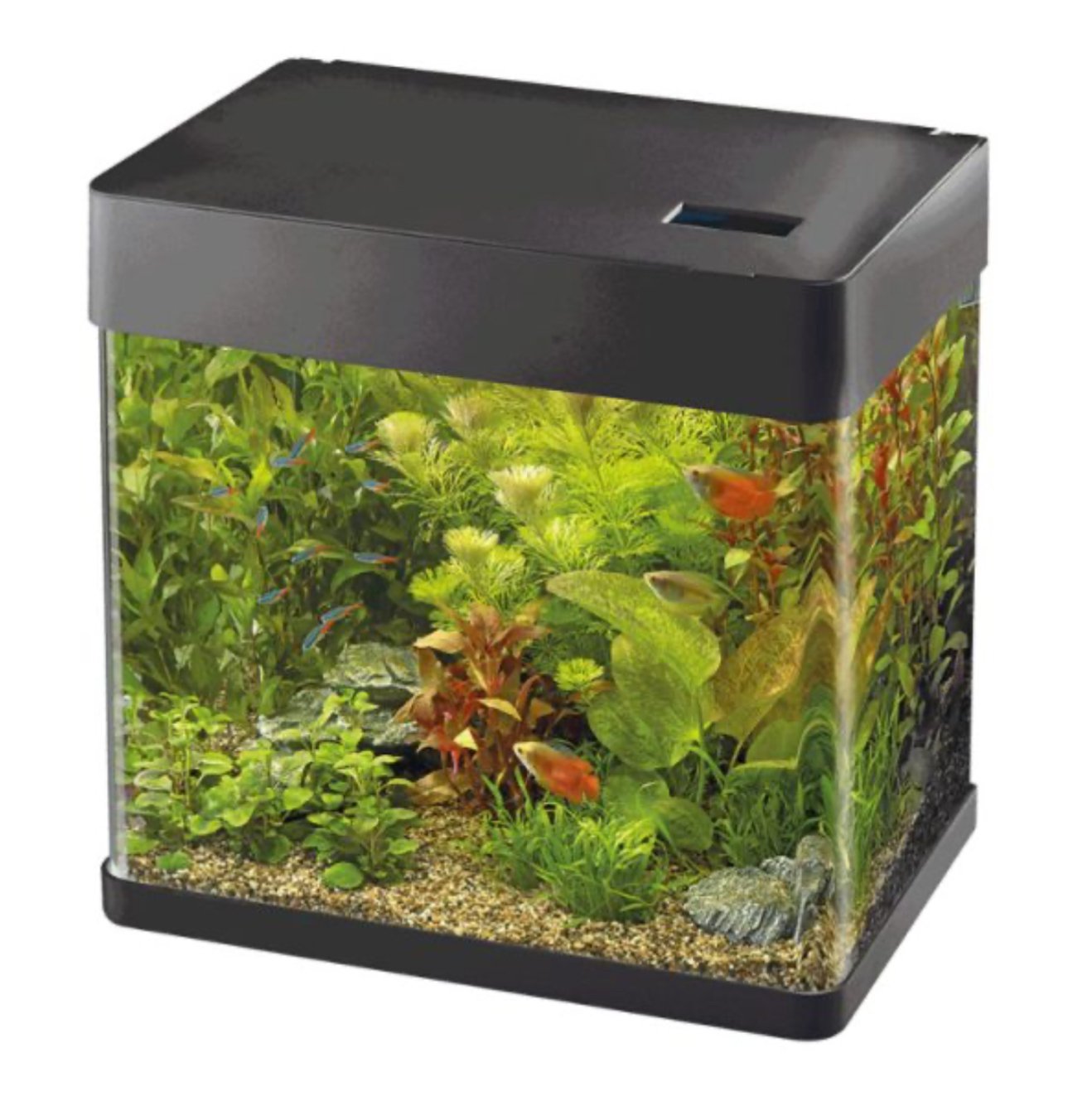 Akvarie sett  / Startpakke  Panorama 35 / Sort