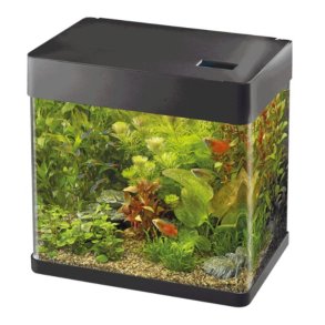 Akvarie sett  / Startpakke  Panorama 35 / Sort