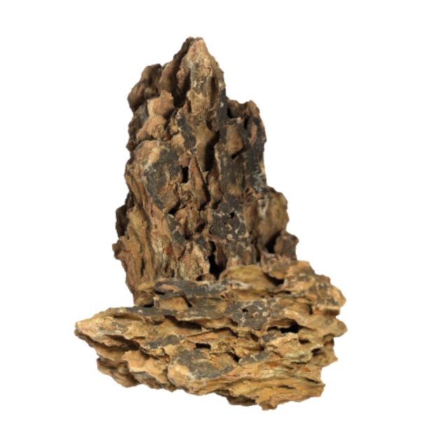 Dragon Rock 800g pose / BioArt 