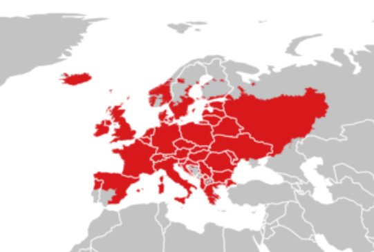 Bekkeveronica (Veronica beccabunga)