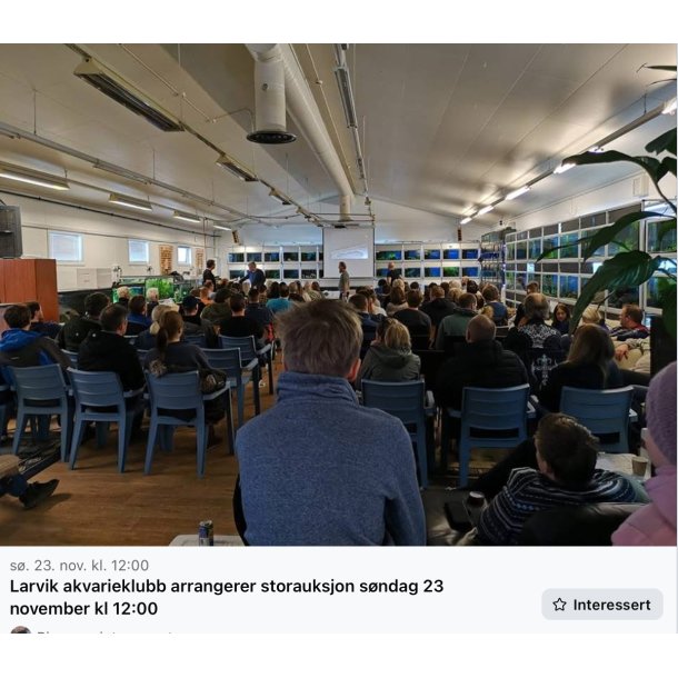 Larvik Akvarieklubb / Storauksjon 23 November kl 12 / 2025 