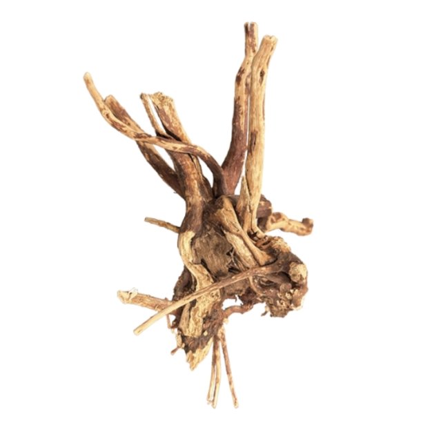 Spiderwood 10-15cm / BioArt