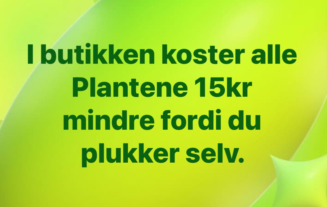 Vannlilje Nymphaeae Gladstoniana