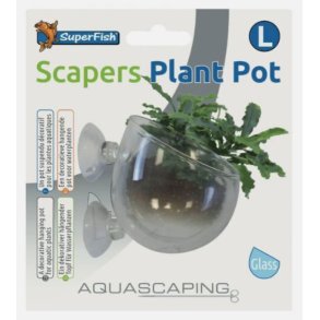Plantepotte til akvarium / glass 6x9cm 