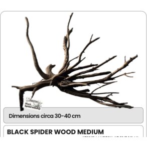 Akvarie rtter ekte / M / Spider 30-40cm 