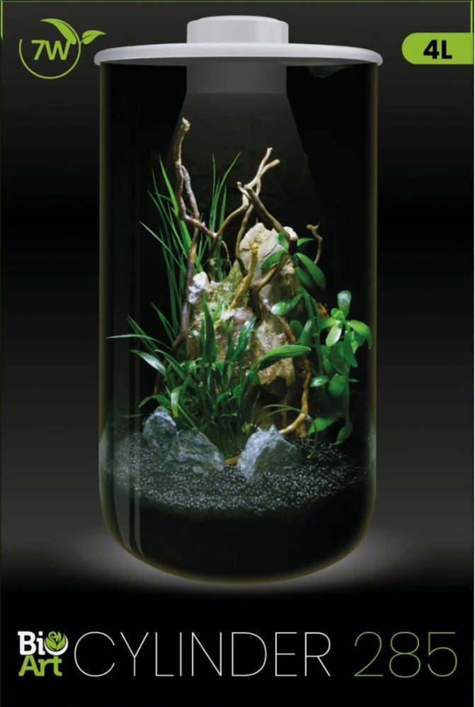 BioArt S�yle / Hvit 