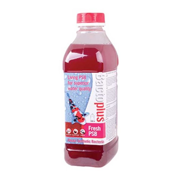 BactoPlus Fresh PSB 2000ml