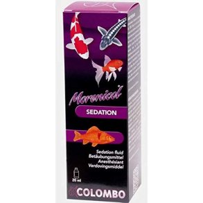 Colombo bedvelse til Koi 