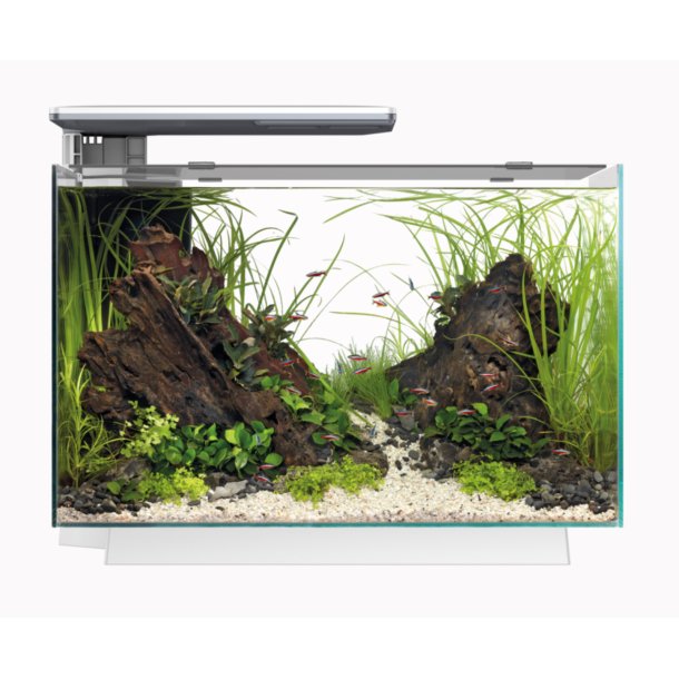 Akvarium Quadro 70 pro  / Superfish / Hvit modell 