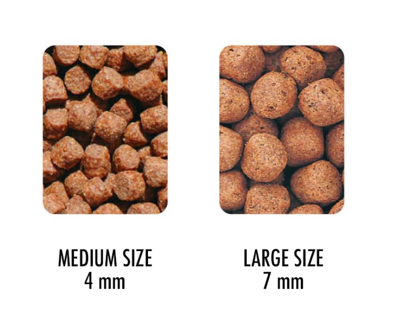 JPD SHORI HIGH GROWTH / 10kg  / Medium 