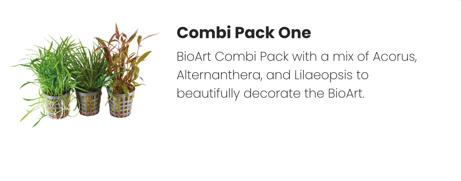 BioArt Combi pakke 1 / Acorus, Alternanthera og Lilaeopsis 