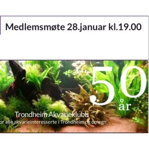 Trondheim Akvarieklubb / Medlemsmte og auksjon 28 Januar kl 19 
