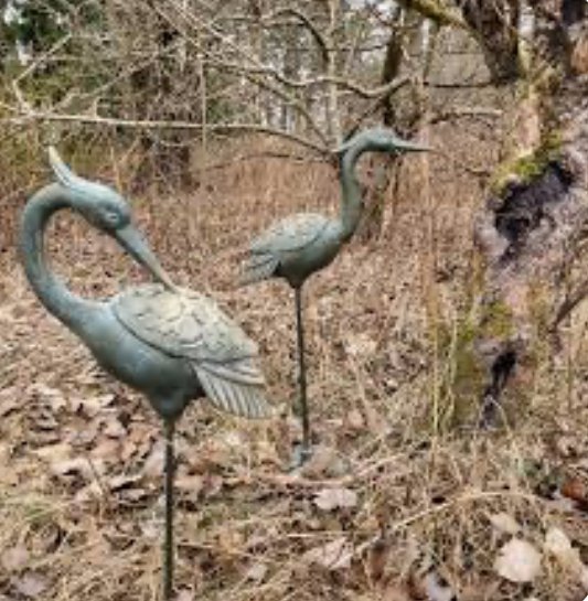 Jomfrutrane par / Hyde 63-65cm 