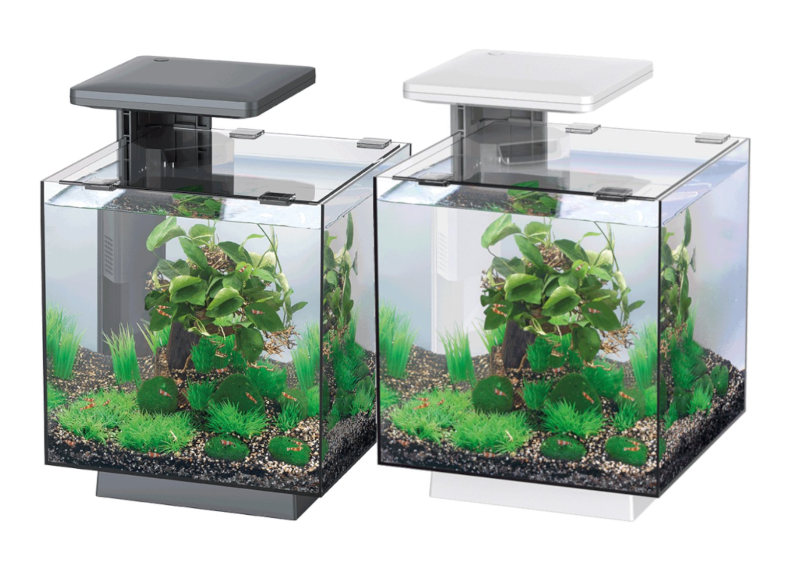 Akvarie pakke / Nano akvarium QubiQ 15  / SORT  modell�
