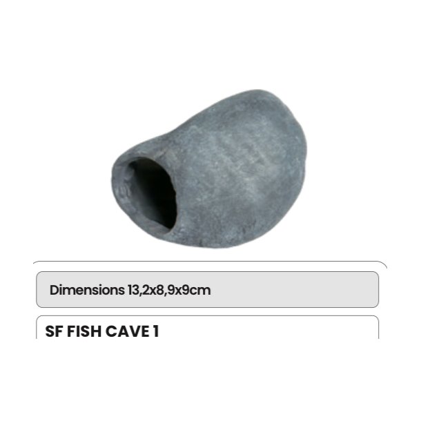 FISH CAVE 1