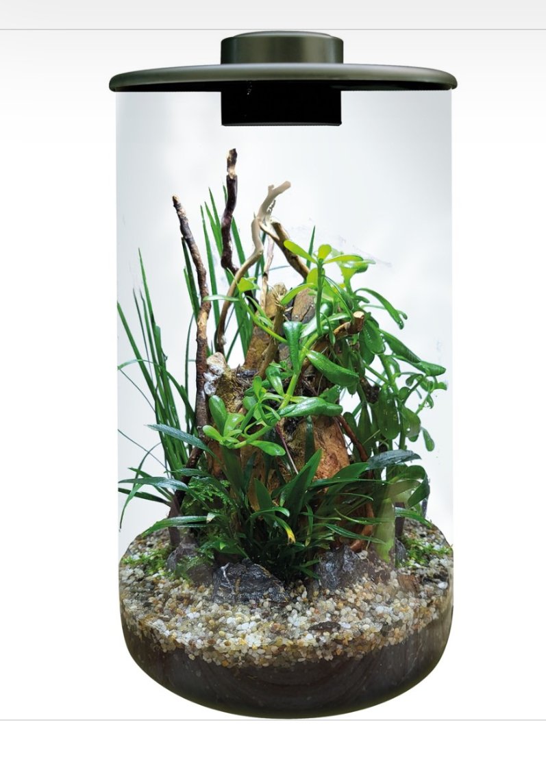 BioArt S�yle / Svart 