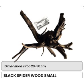 Akvarie r�tter ekte / S / Spider 20-30cm 