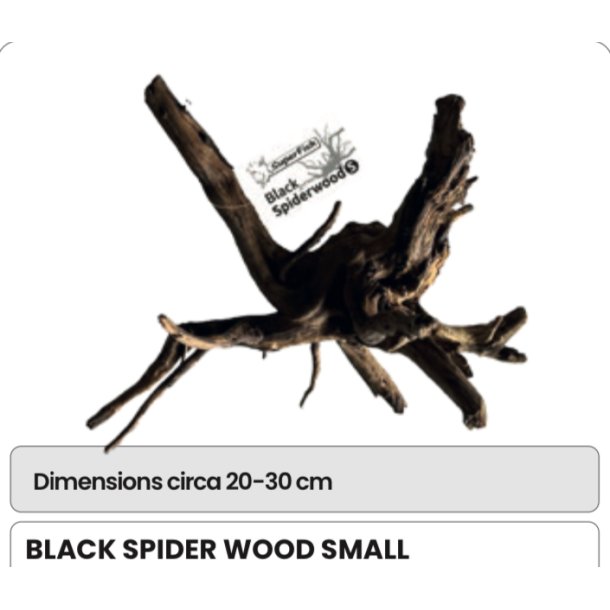 Akvarie r�tter ekte / S / Spider 20-30cm 