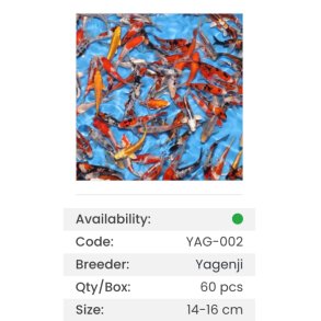 Jagenji Mix / 1 ringer / 14-16cm 