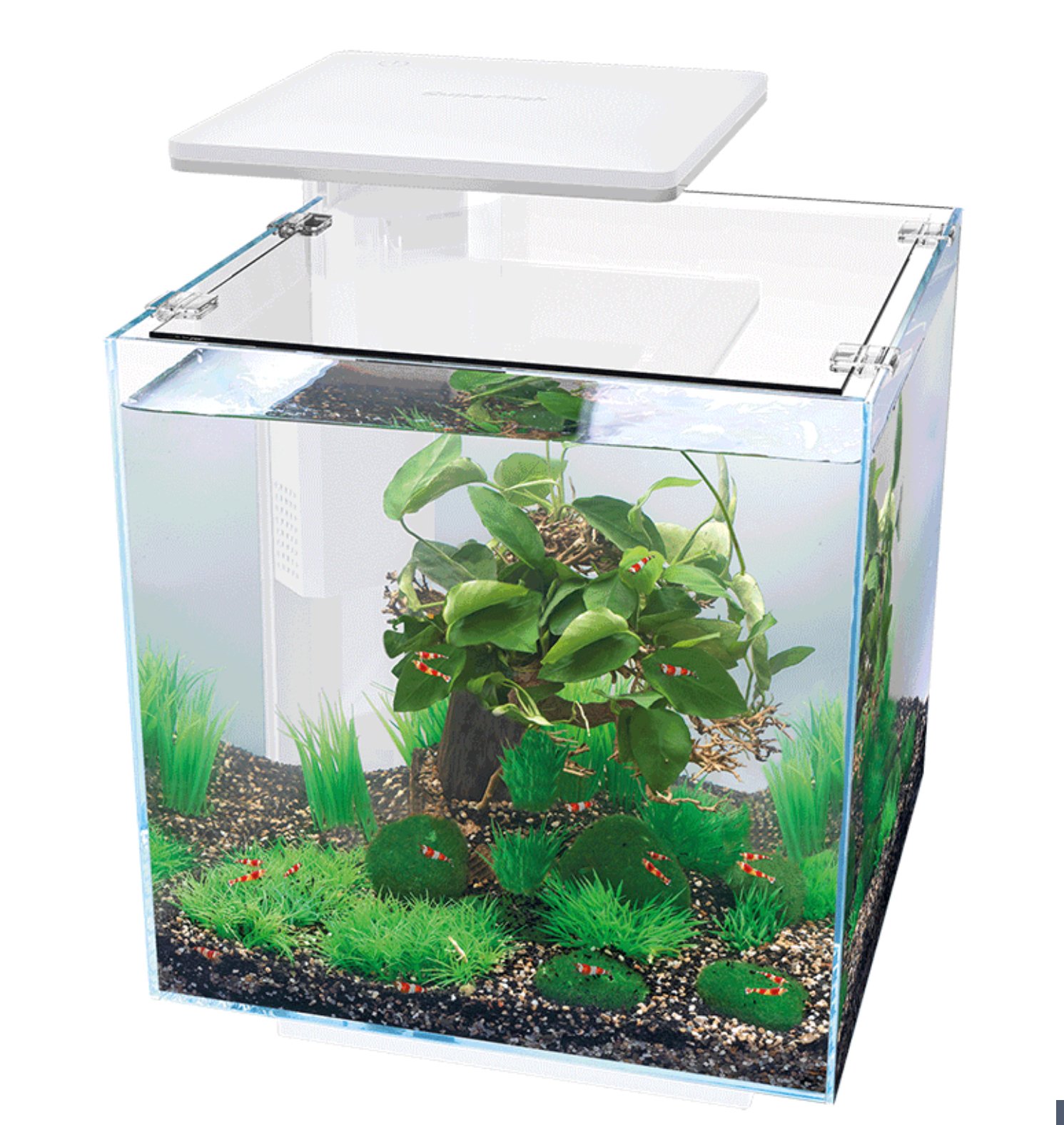 Akvarie pakke / QubiQ 30 Pro / HVIT modell�