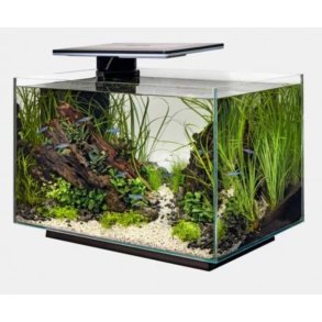 Akvarium Quadro 40 Pro / Superfish /  Sort modell 