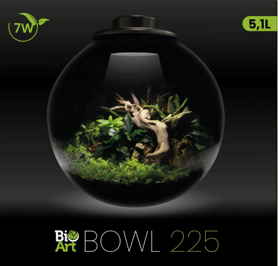 BioArt Bolle / Svart 